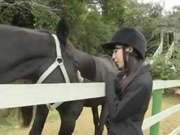 純愛日記 川崎綾 寫真集